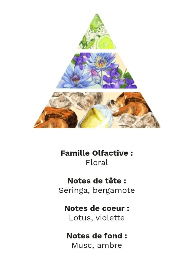 Le petit crémeux fleur de lotus 