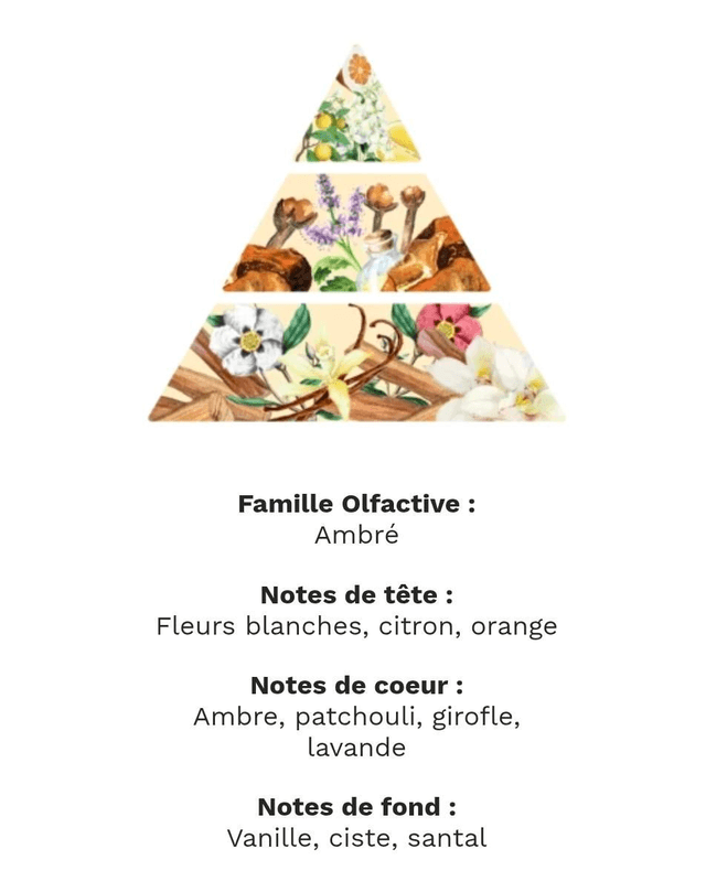 Le petit crémeux ambre 